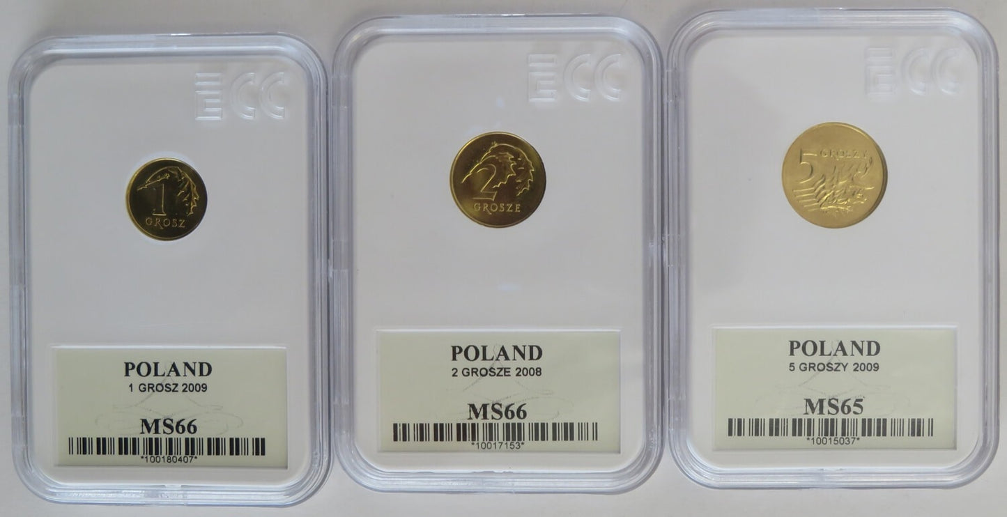 Lot: 1, 2, 5 groszy 2009, GCN MS 65-66, mennicze