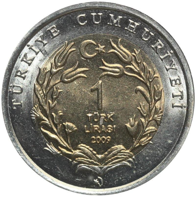 Turcja 1 lira, 2009 Żółw morski